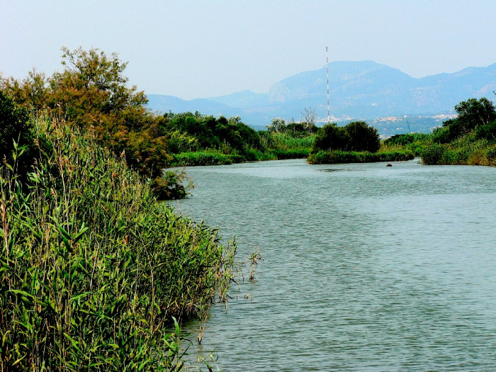 - im Naturschutzgebiet bei Alcudia: Parc natural de s’Albufera