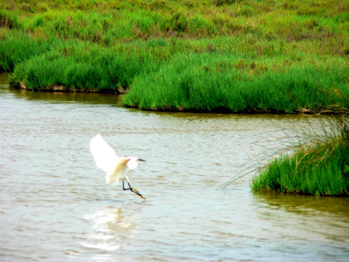 - Parc natural de s’Albufera
