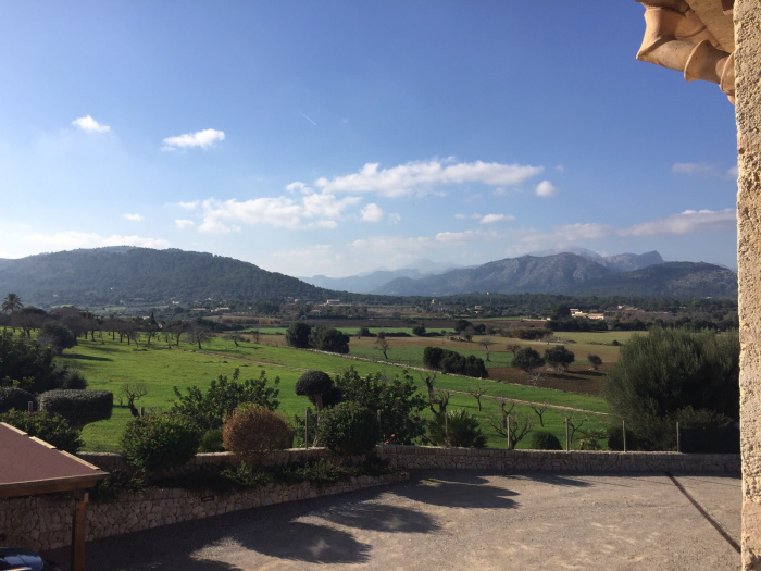 Zwischen Pollenca und Alcudia - Januar 2016