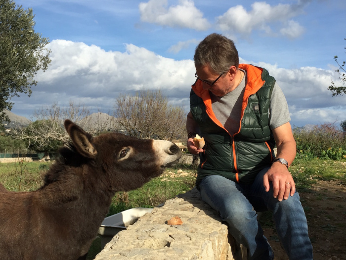 unser Borriquito 'Luisa', bei Alcludia