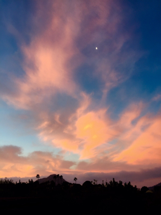 Sonnenaufgang zwischen Pollenca und Alcudia, 1.1.2016