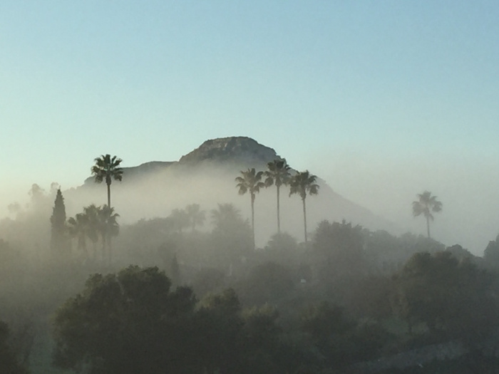 Morgennebel bei Pollenca/Alcudia, 31.12.2015