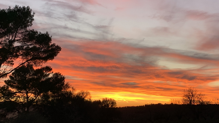 Montuïri - Blick von Finca Las Higueras: Sonnenuntergang