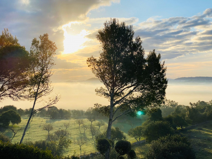 Montuïri - Blick von Finca Las Higueras - Sonnenaufgang