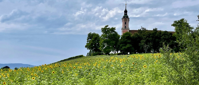 Birnau