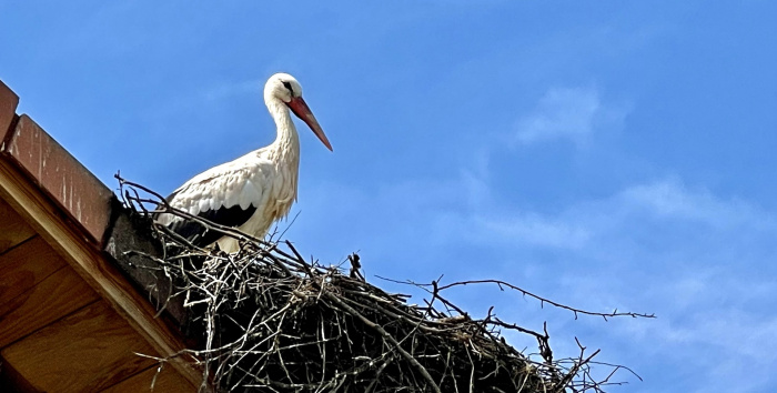 Bauernhof am Affenfelsen bei Salem