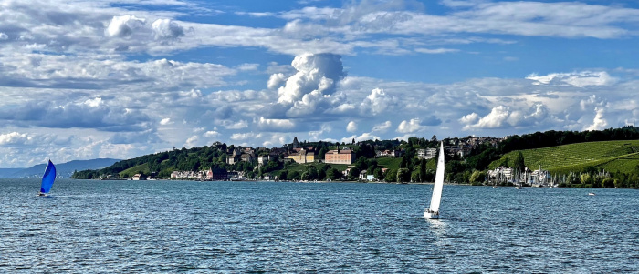 Meersburg mit Winzereigenossenschaft