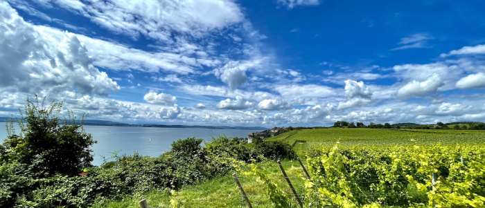 Blick vom Höhenweg nach/auf Meersburg